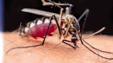 Jamestown Canyon Virus, Michigan's first mosquito-borne illness of the year detected in state