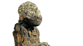 Mystery of strange mummified baboons of ancient Egypt finally unravelled