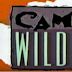 Camp Wilder