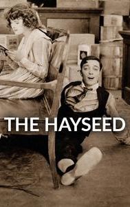 The Hayseed