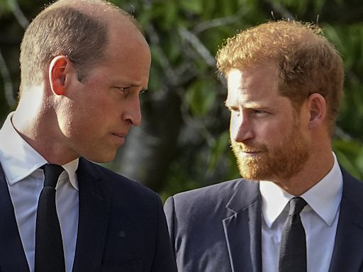It's telling Harry didn't see Wills on last UK visit, royal expert says