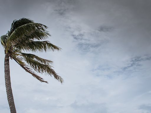 Spaghetti models as Tropical Storm Beryl "likely" to form