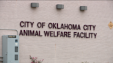 ‘We don’t have anywhere to put them’: OKC Animal Welfare in dire need of adoptions, fosters