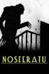 Nosferatu, eine Symphonie des Grauens