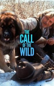 The Call of the Wild: Dog of the Yukon