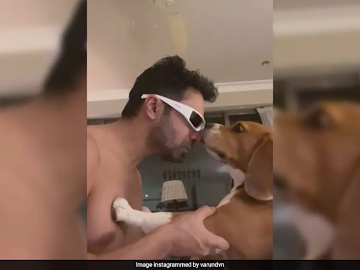 On Varun Dhawan's Post With Pet Joey, Arjun Kapoor Dropped This LOL Comment
