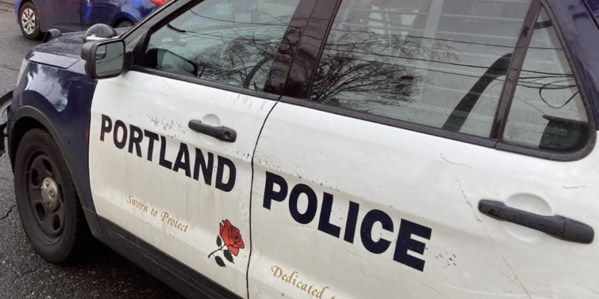 Man arrested for swinging knife at people in SW Portland