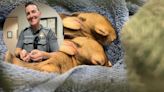 Pair of bunnies saved from Folsom playground