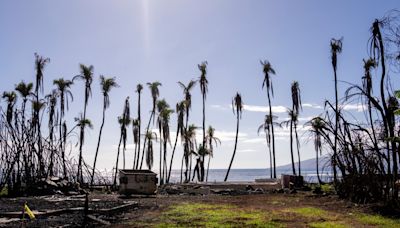 Oprah Winfrey and Dwayne Johnson pledged $10M for Maui wildfire survivors. They gave much more.