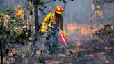 Se extiende el infierno de incendios forestales a 24 estados y 36 áreas naturales protegidas