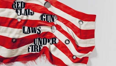 How Second Amendment Radicals Are Attacking Laws Meant to Keep Firearms Out of the Wrong Hands