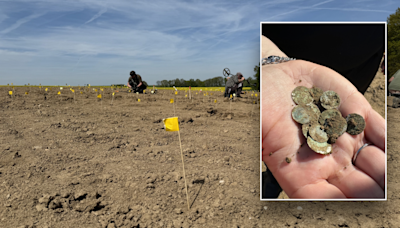 Woman out for a walk stumbles upon once-in-a-decade discovery