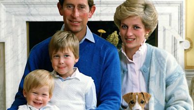 Prince William 'adored' his baby brother Harry, Diana's letters reveal