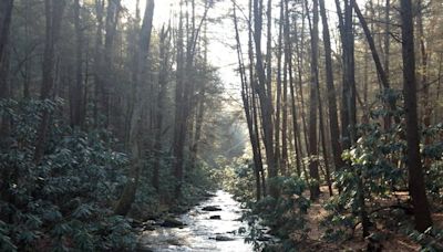 Georgia federal lawmakers backing Benton MacKaye Trail as new National Scenic Trail