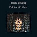 Fish Out of Water (Chris Squire album)