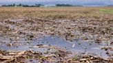 Rain showers cause planting delays for farmers in parts of Iowa