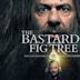 The Bastards' Fig Tree