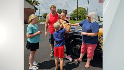 Pennsylvania cat ‘Tigger’ lost for over 2 years found 40 miles from home in Lancaster County