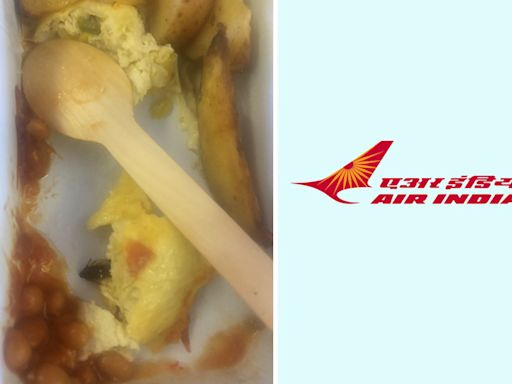 Air India passenger finds cockroach in food served on Delhi-New York flight; airline expresses concern