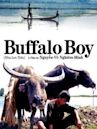 The Buffalo Boy