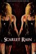 Scarlet Rain