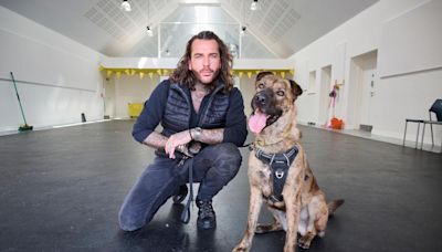 Dogs Trust shelter in Basildon to star in new star-studded BBC documentary