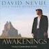 Awakenings: The Best of David Nevue (2001-2010)