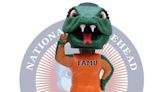 Check it out! A collectible FAMU Rattler bobblehead announced. Here's how to snag one
