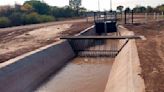 Santiago del Estero. Controversia por un canal de agua que no contempla la protección de la fauna