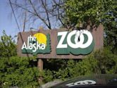 Alaska Zoo
