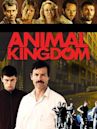 Animal Kingdom (film)