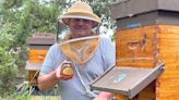 What Fortune 500 bosses can learn from an AT&T engineer who took up beekeeping