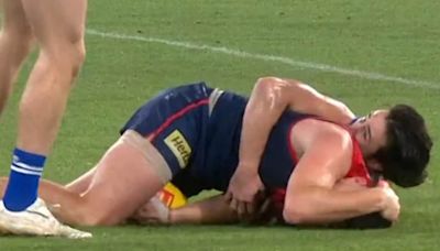 AFL world slams Demons defender for 'disgraceful' act