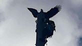 Eagle saved from atop 120-foot tall radio tower lightning rod