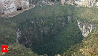 Unveiling the mysteries of China’s Tiankeng: Hidden nutrient-rich ecosystems in giant sinkholes | - Times of India