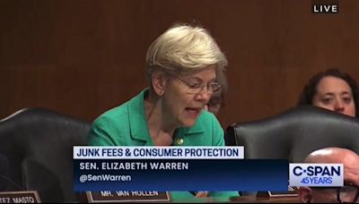 "I have never seen bumper sticker, 'I Heart Junk Fees'": Liz Warren hits GOP for blocking efforts to limit junk fees.