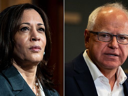 ANÁLISIS | Por qué Kamala Harris eligió a Tim Walz como su compañero de fórmula