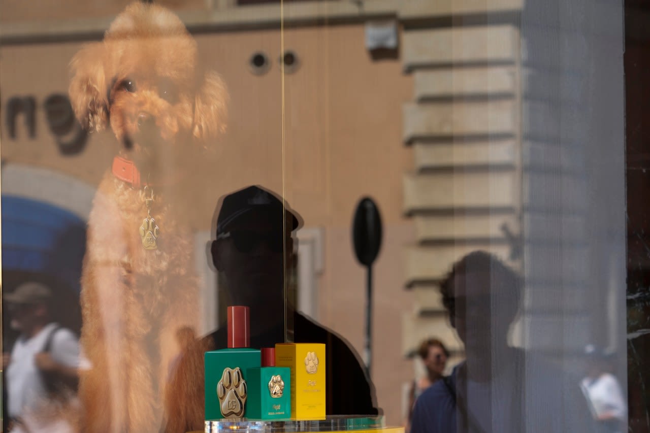 Dolce & Gabbana launches a new perfume for dogs, but some vets and pet-owners are skeptical