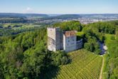 Habsburg Castle