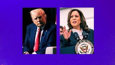 Opinion: Why Donald Trump is So Scared of Women Like Kamala Harris—and Me