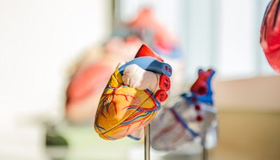 Urgent need for sudden cardiac arrest awareness, prevention in athletes