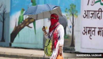 Heatwave alert! These are the hottest cities in India right now; Check the NDMA guidelines to stay safe
