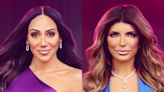 RHONJ's Teresa Giudice Calls Out Haters and "Toxicity" Amid Major Season 14 Cast Drama - E! Online