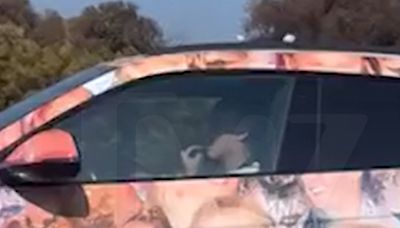 JoJo Siwa Gnaws on Fingernails While Driving Easy-to-Spot Lamborghini