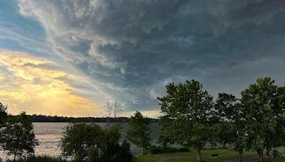 Possible tornado topples car, uproots trees in Brossard