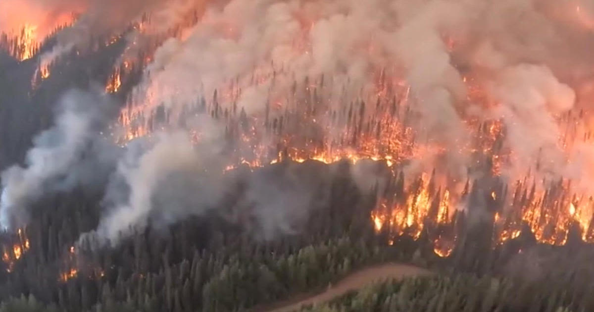 Canadian wildfires released more carbon emissions than burning fossil fuels, study shows