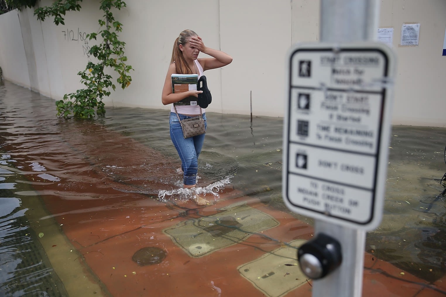 King Tide May Bring Flooding to Miami This Week: Experts Weigh In