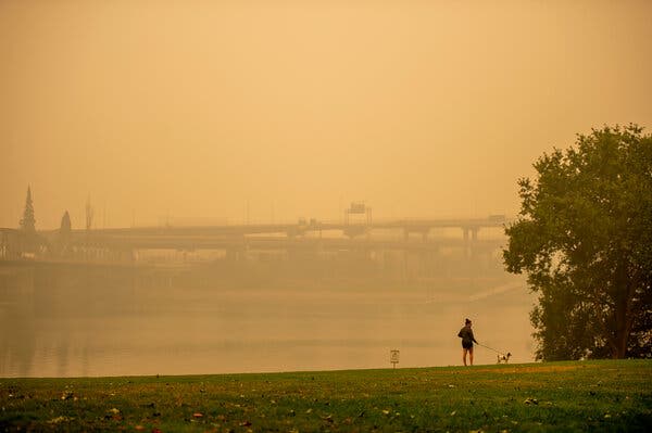 How to Protect Yourself From Wildfire Smoke