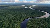 El primer ministro japonés se compromete a ayudar a Brasil a proteger la Amazonía