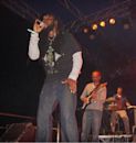 Bushman (reggae singer)